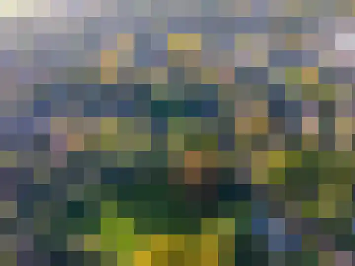 Van Ewsumstraat 8 Marum thumbnail 6