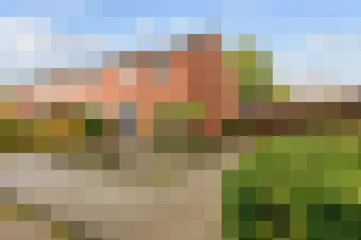 Van Ewsumstraat 8 Marum thumbnail 8