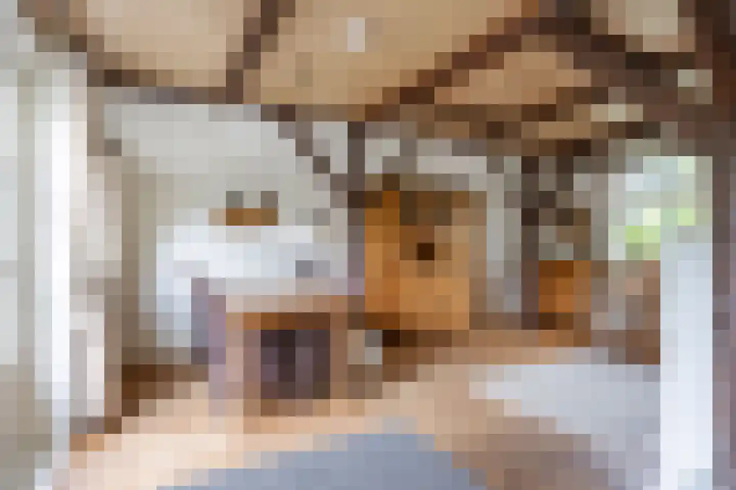 van Ewsumweg 6 Rasquert thumbnail 17