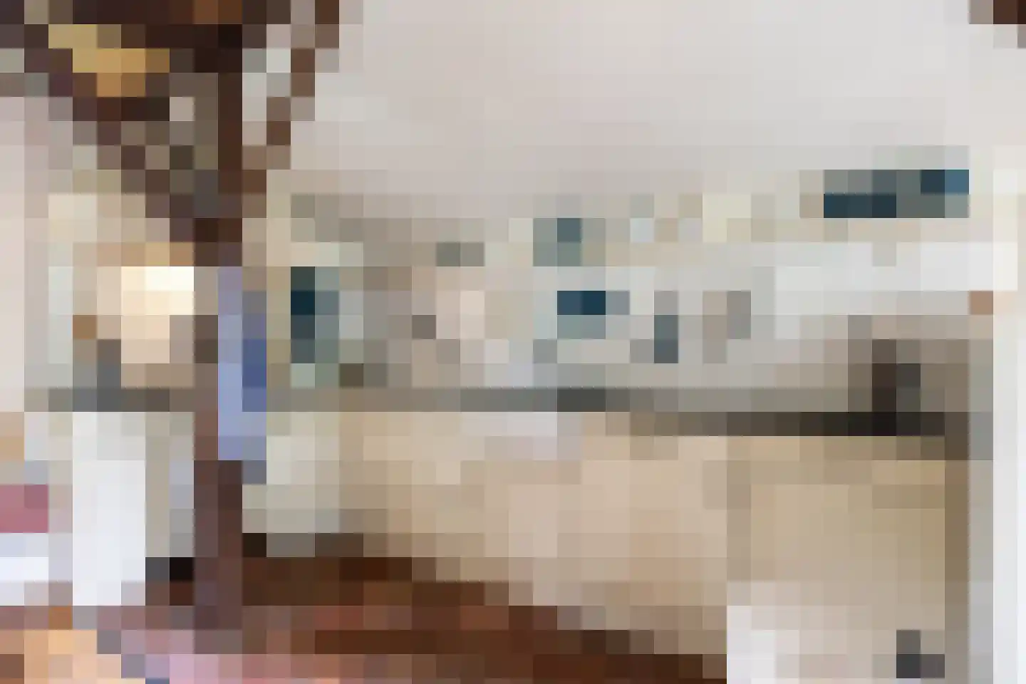 van Ewsumweg 6 Rasquert thumbnail 19