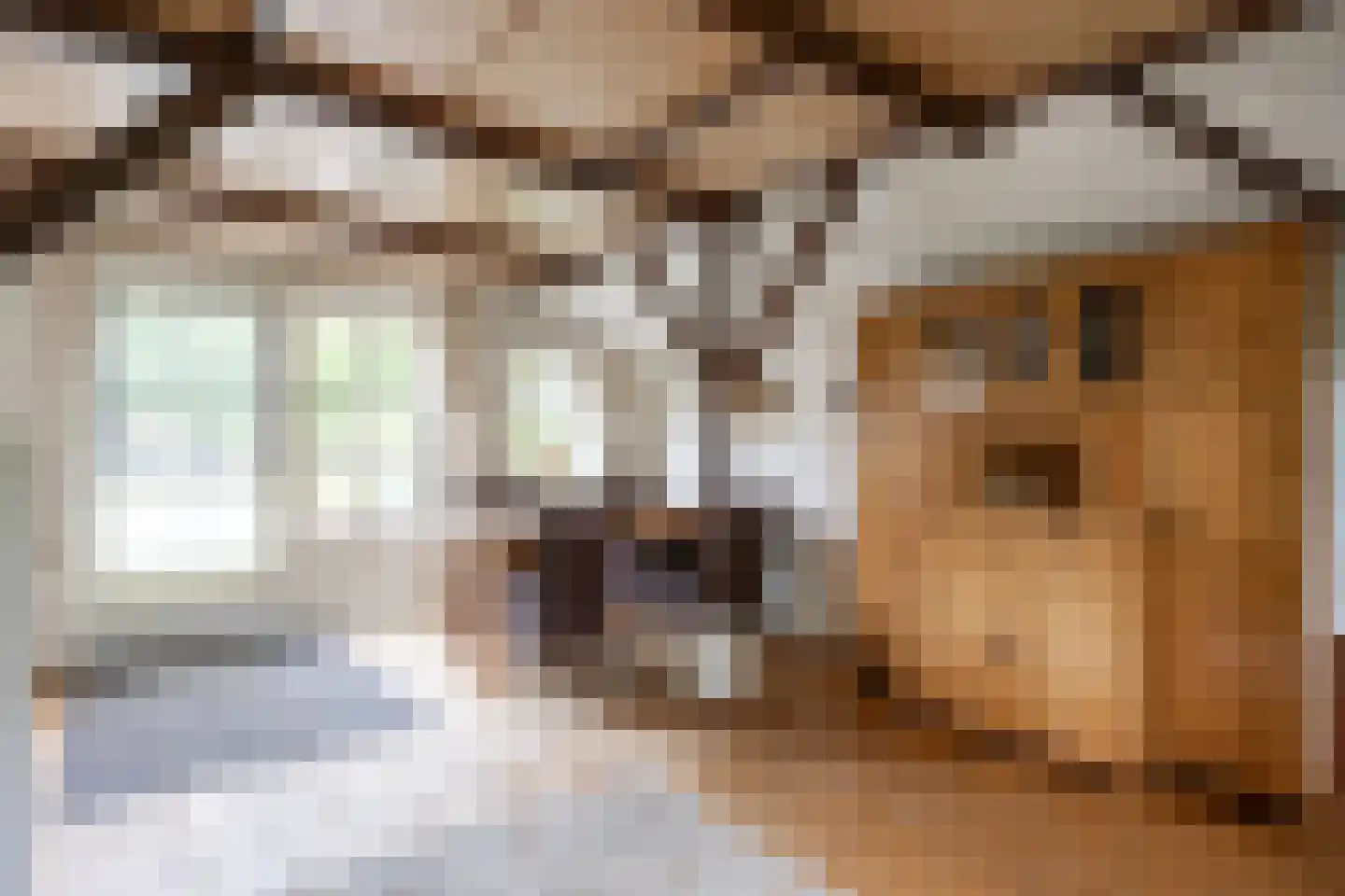 van Ewsumweg 6 Rasquert thumbnail 22