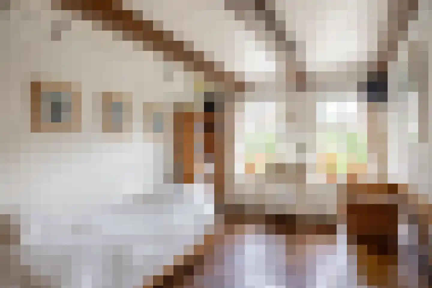 van Ewsumweg 6 Rasquert thumbnail 23