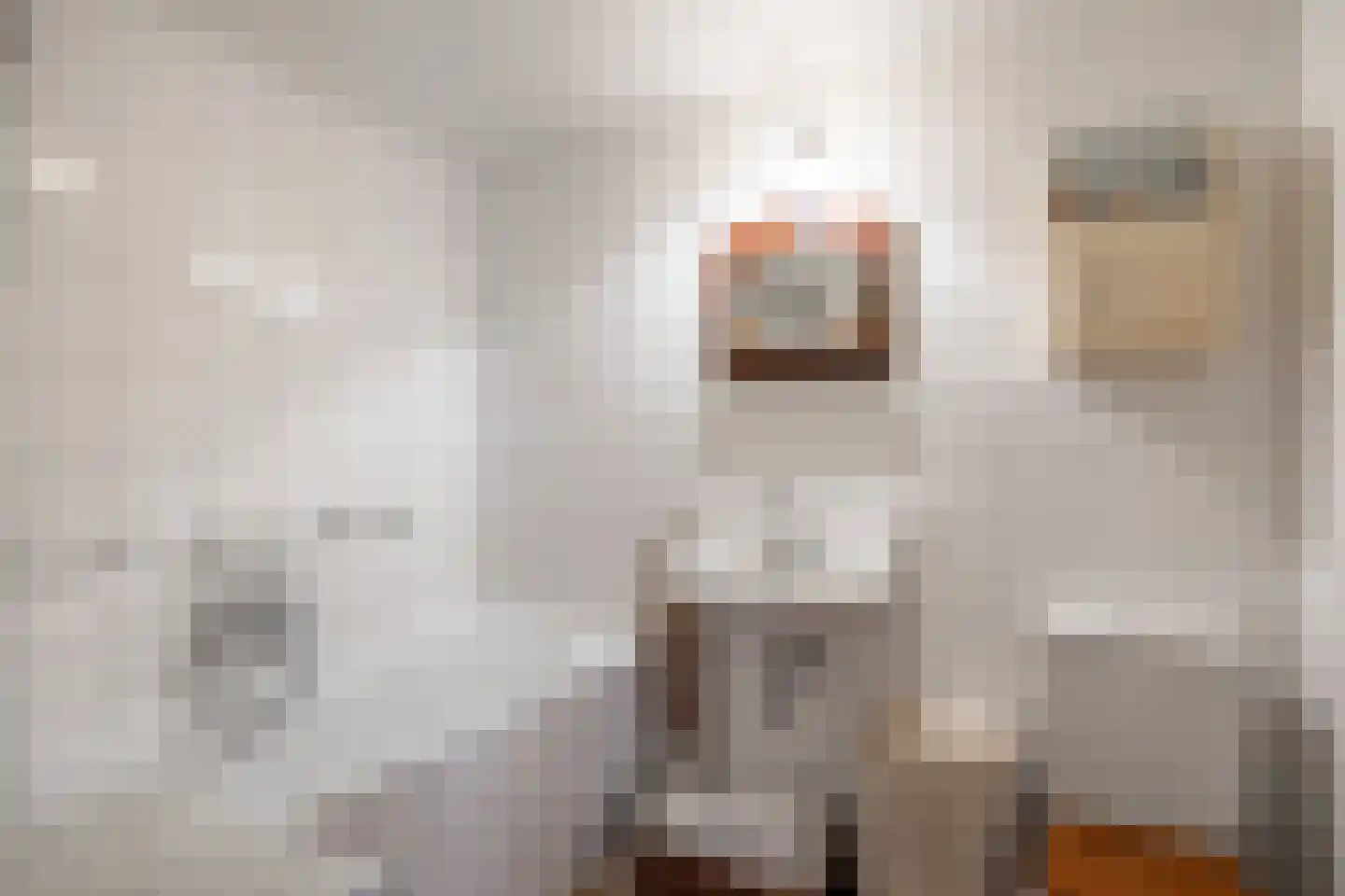 van Ewsumweg 6 Rasquert thumbnail 24
