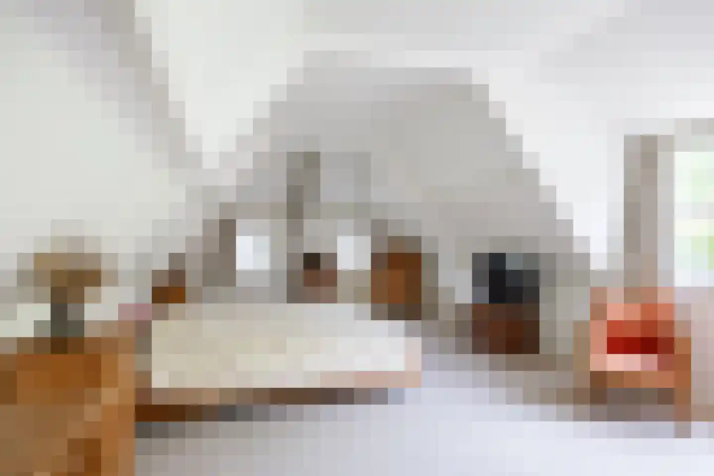 van Ewsumweg 6 Rasquert thumbnail 27