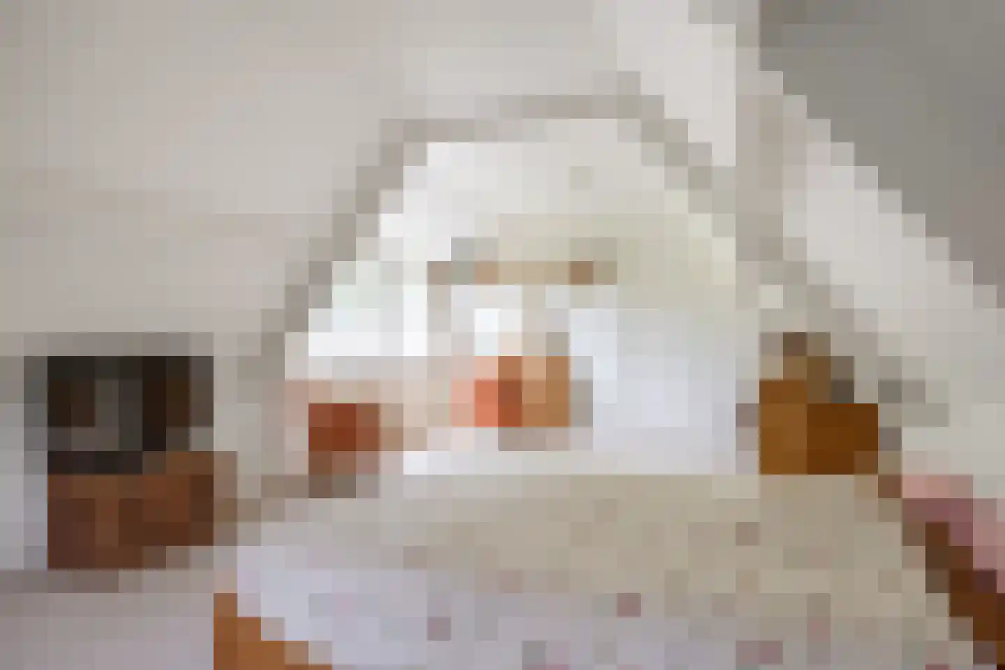 van Ewsumweg 6 Rasquert thumbnail 28