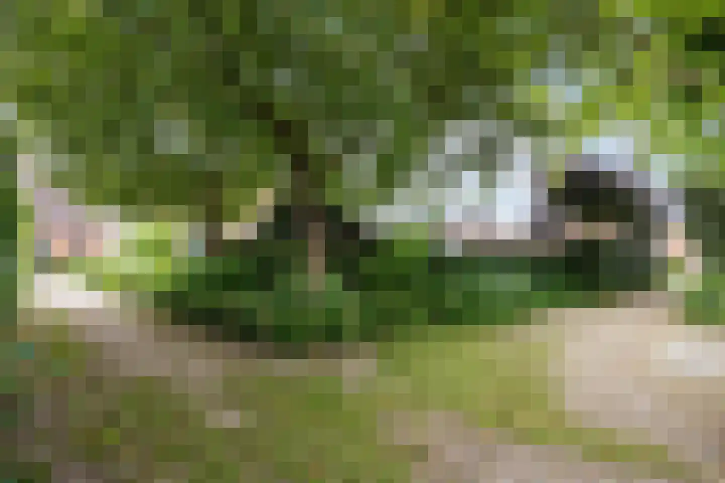 van Ewsumweg 6 Rasquert thumbnail 29