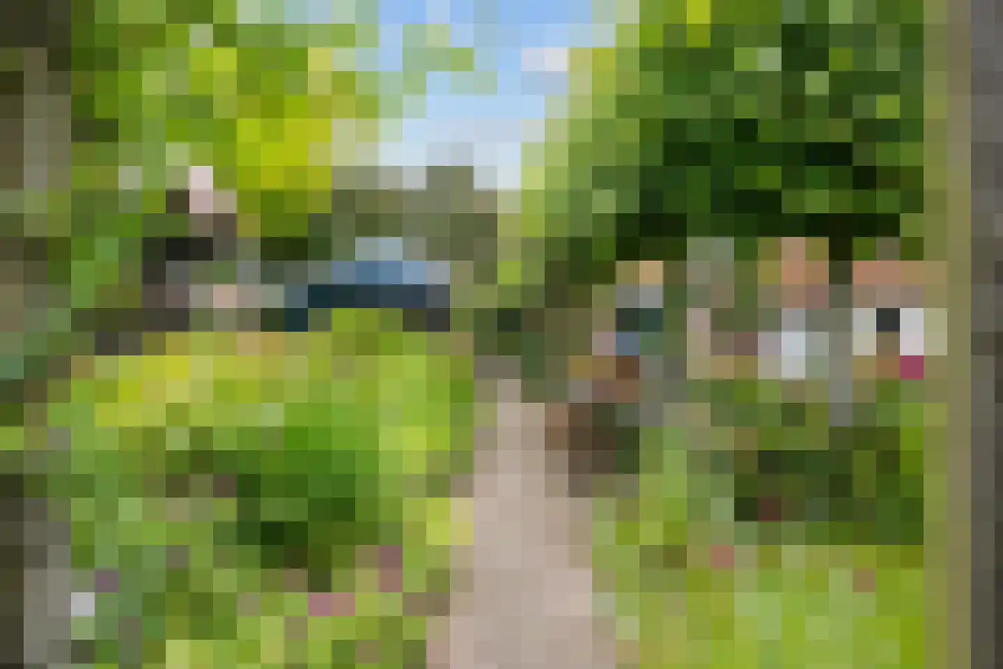 van Ewsumweg 6 Rasquert thumbnail 30