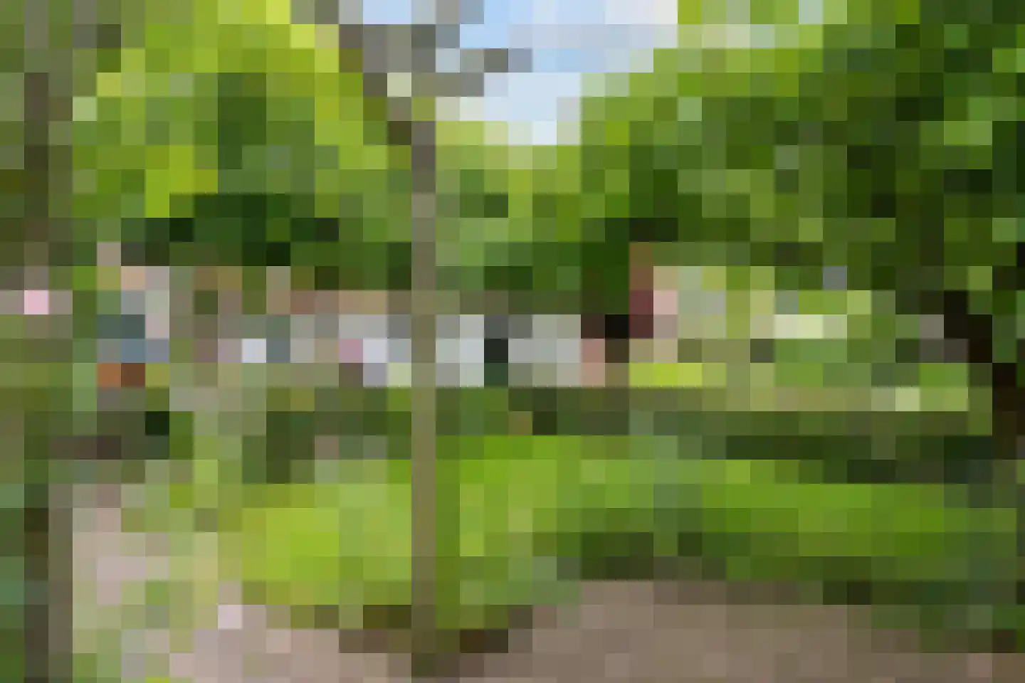 van Ewsumweg 6 Rasquert thumbnail 36