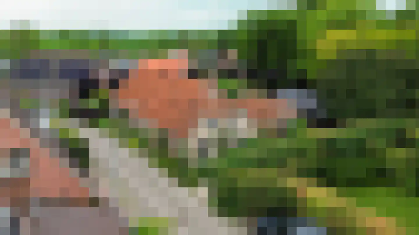 van Ewsumweg 6 Rasquert thumbnail 5