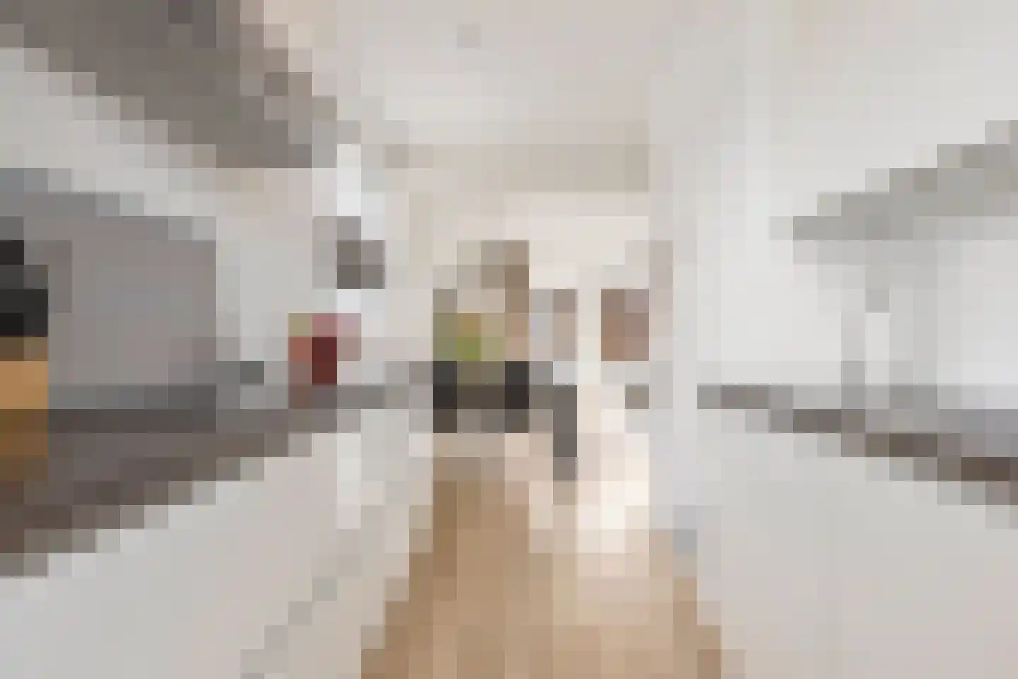 Van Eyckstraat 117 Groningen thumbnail 21