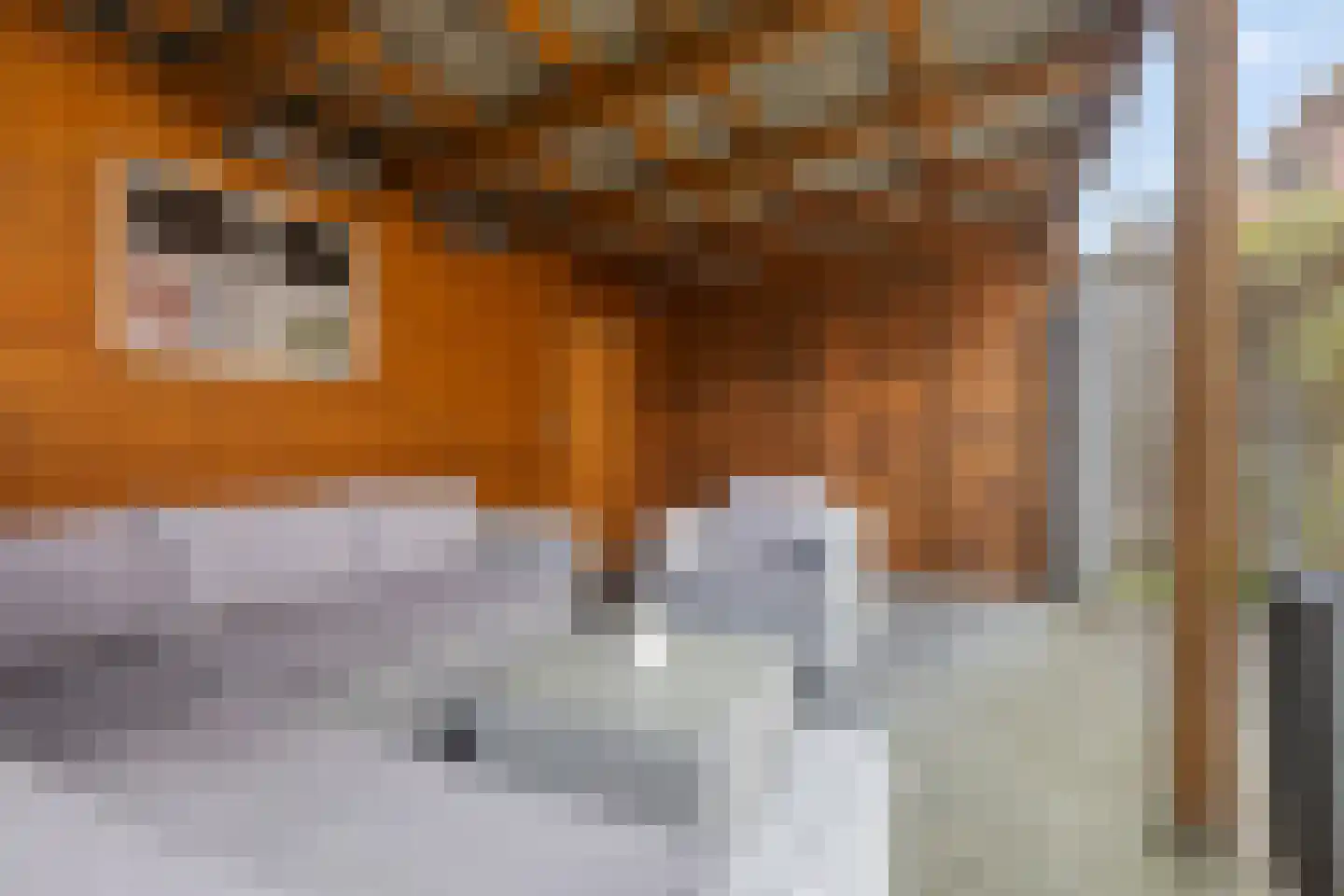 Van Eyckstraat 117 Groningen thumbnail 35
