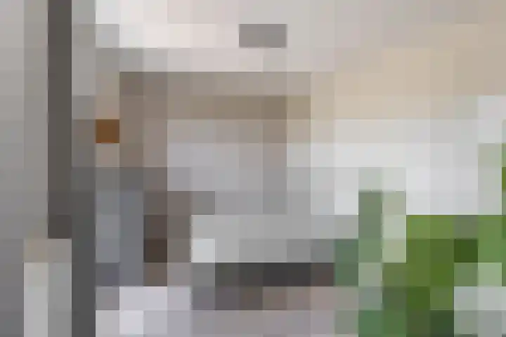 Van Eyckstraat 119 Groningen thumbnail 22
