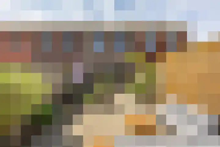 Van Eyckstraat 119 Groningen thumbnail 32