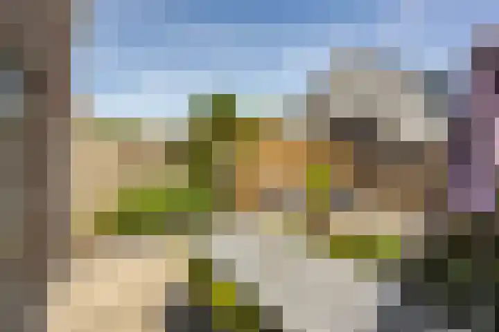 Van Eyckstraat 119 Groningen thumbnail 34