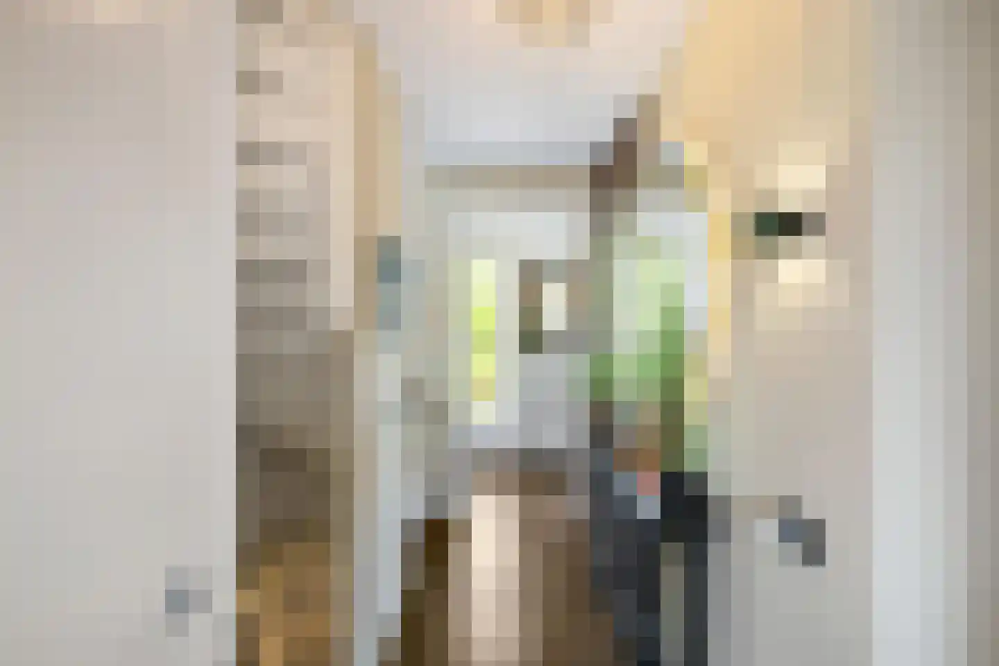 Van Eyckstraat 21 Groningen thumbnail 19