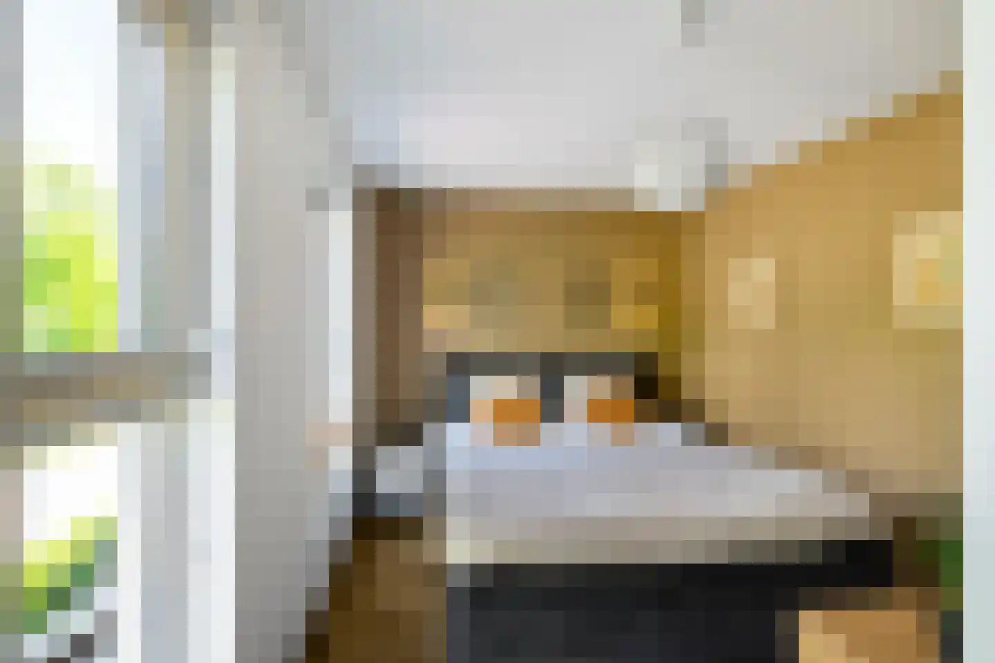 Van Eyckstraat 21 Groningen thumbnail 20