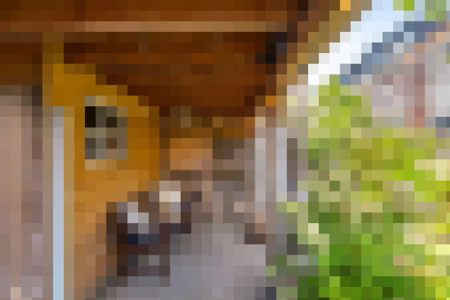 Van Eyckstraat 21 Groningen thumbnail 40