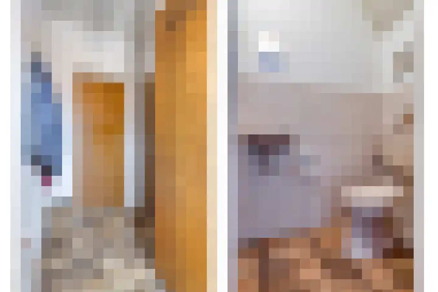 van Eyckstraat 23 Maasbree thumbnail 7