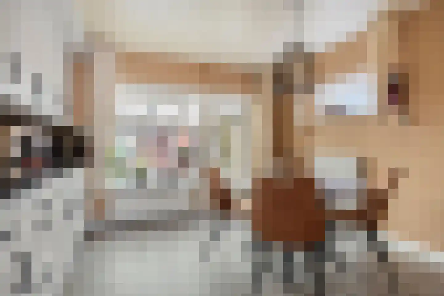 van Eyckstraat 3 Maasbree thumbnail 12