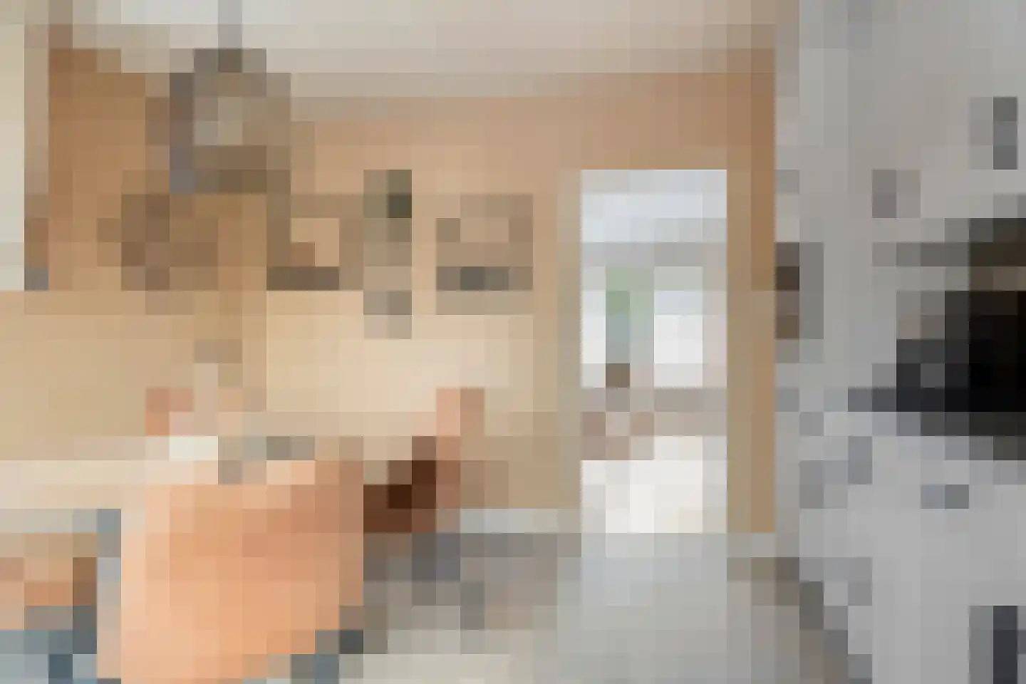 van Eyckstraat 3 Maasbree thumbnail 13