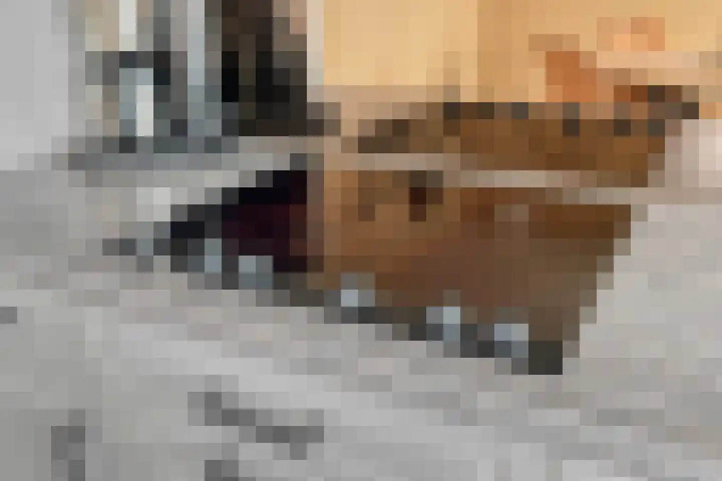 van Eyckstraat 3 Maasbree thumbnail 15