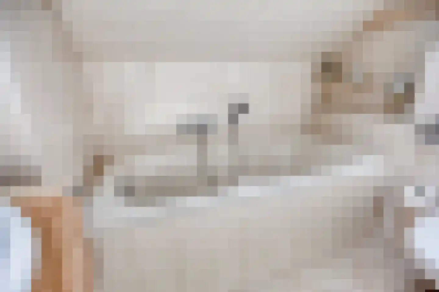 van Eyckstraat 3 Maasbree thumbnail 22