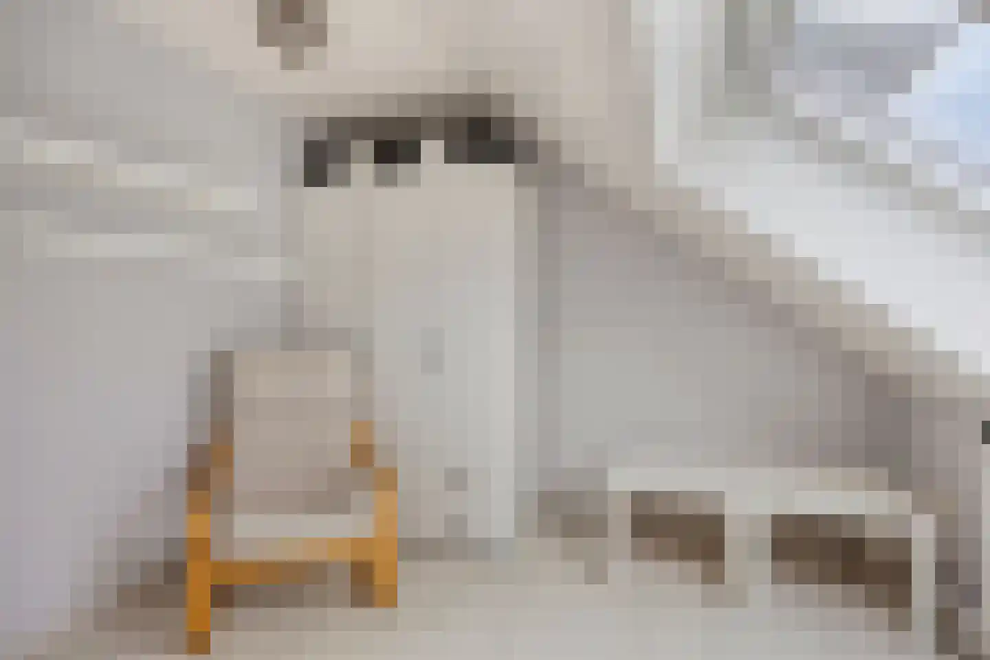van Eyckstraat 3 Maasbree thumbnail 26