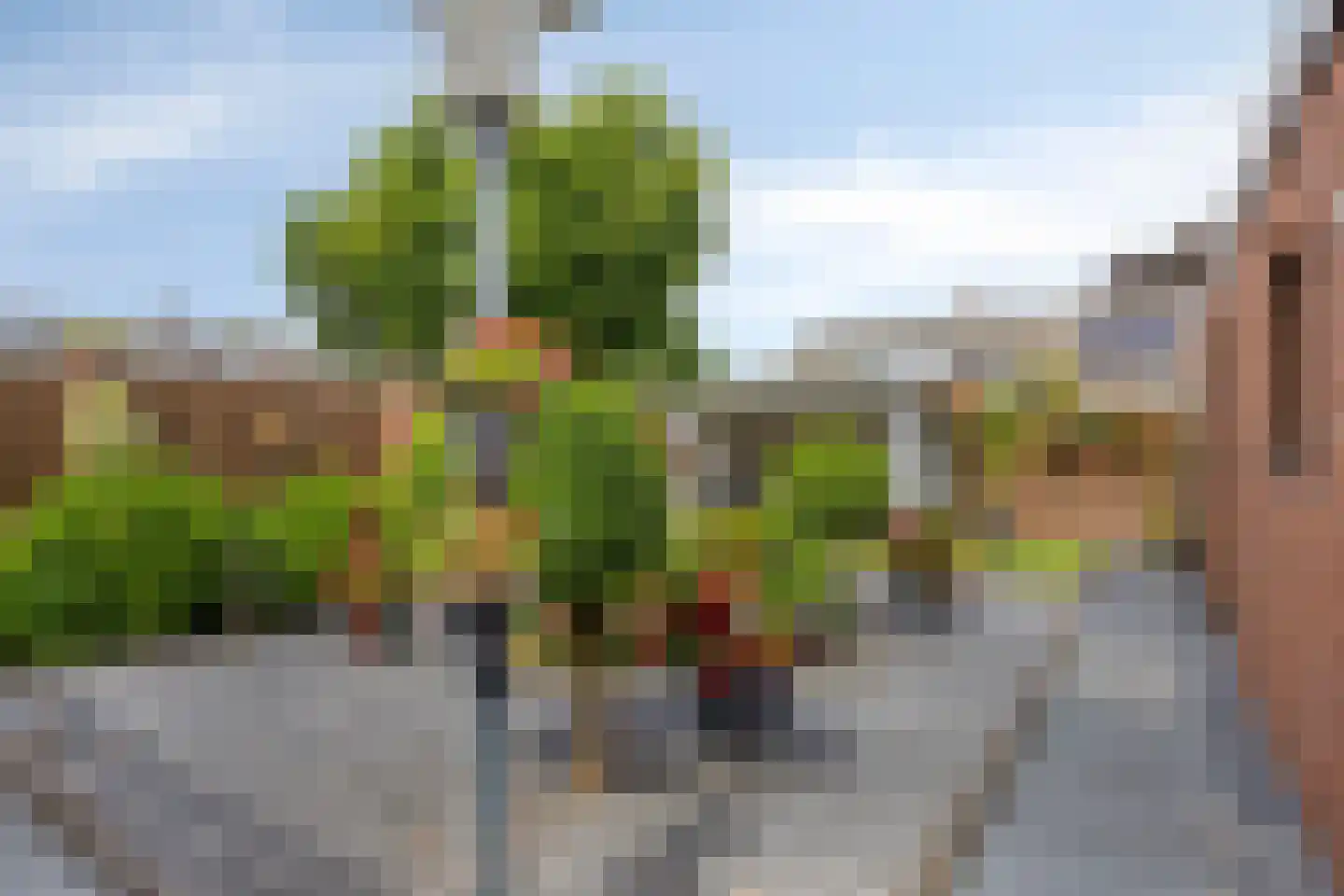 van Eyckstraat 3 Maasbree thumbnail 30