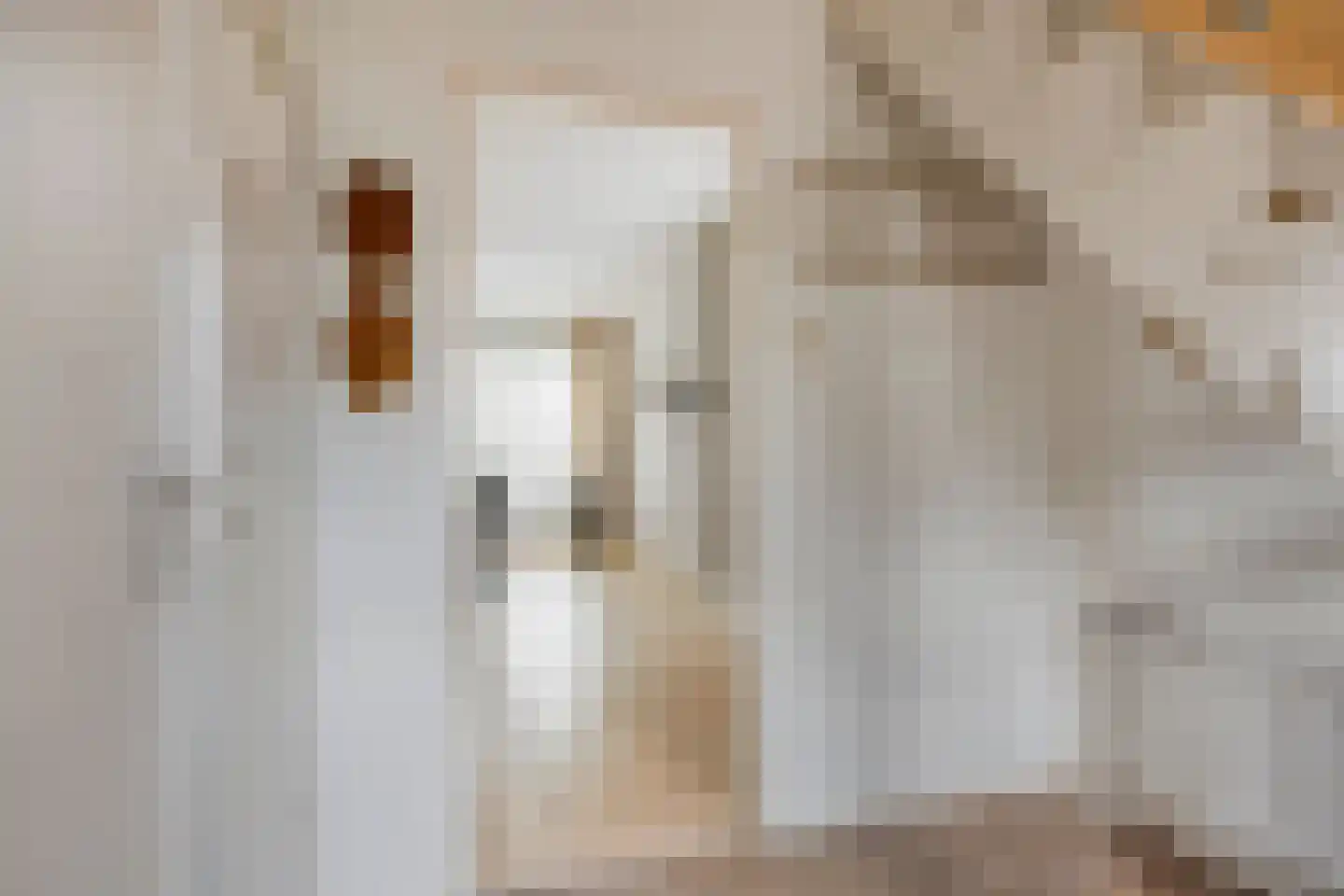 van Eyckstraat 3 Maasbree thumbnail 6
