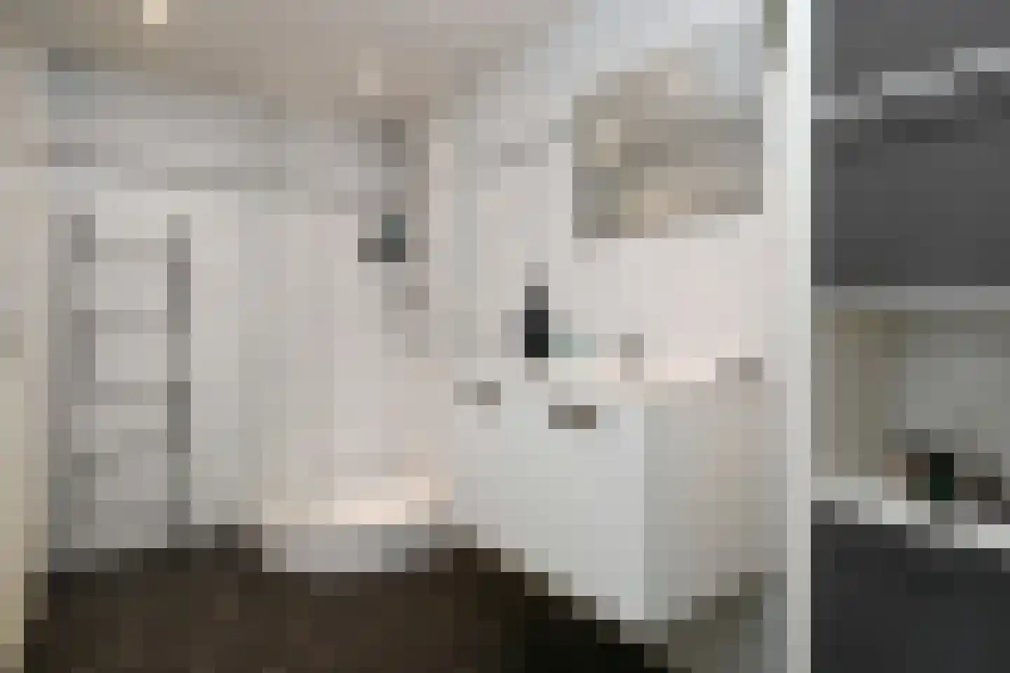 van Eyckstraat 31 Maasbree thumbnail 14