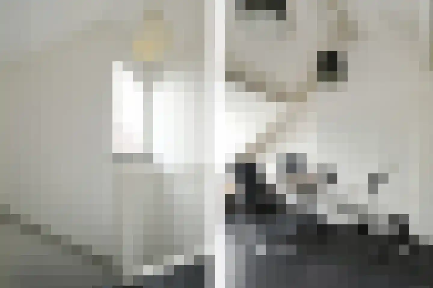 van Eyckstraat 31 Maasbree thumbnail 19