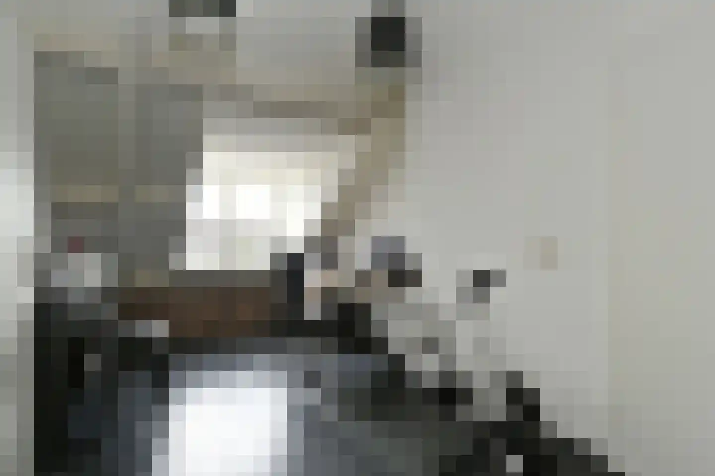 van Eyckstraat 31 Maasbree thumbnail 20