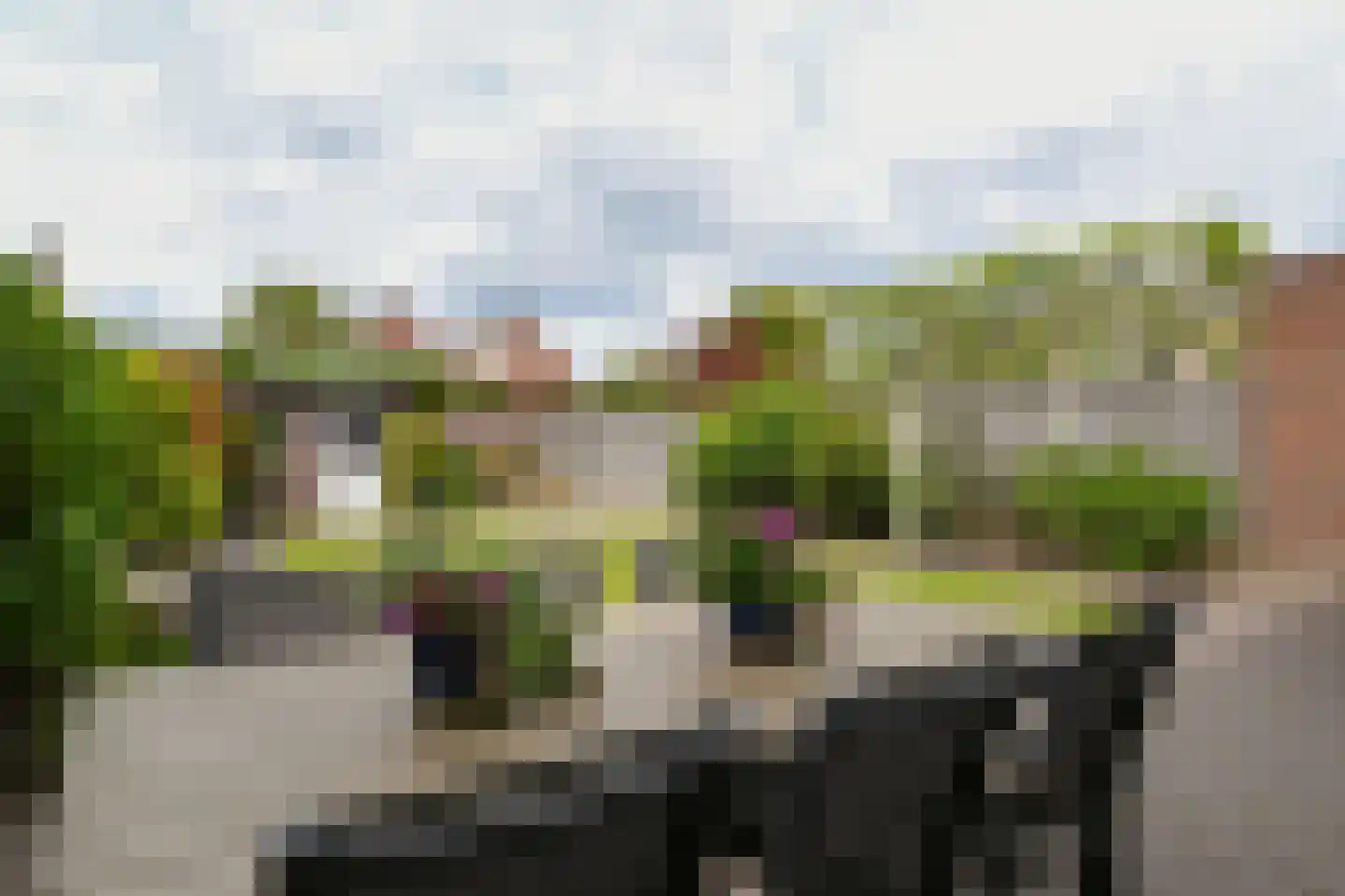 van Eyckstraat 31 Maasbree thumbnail 24
