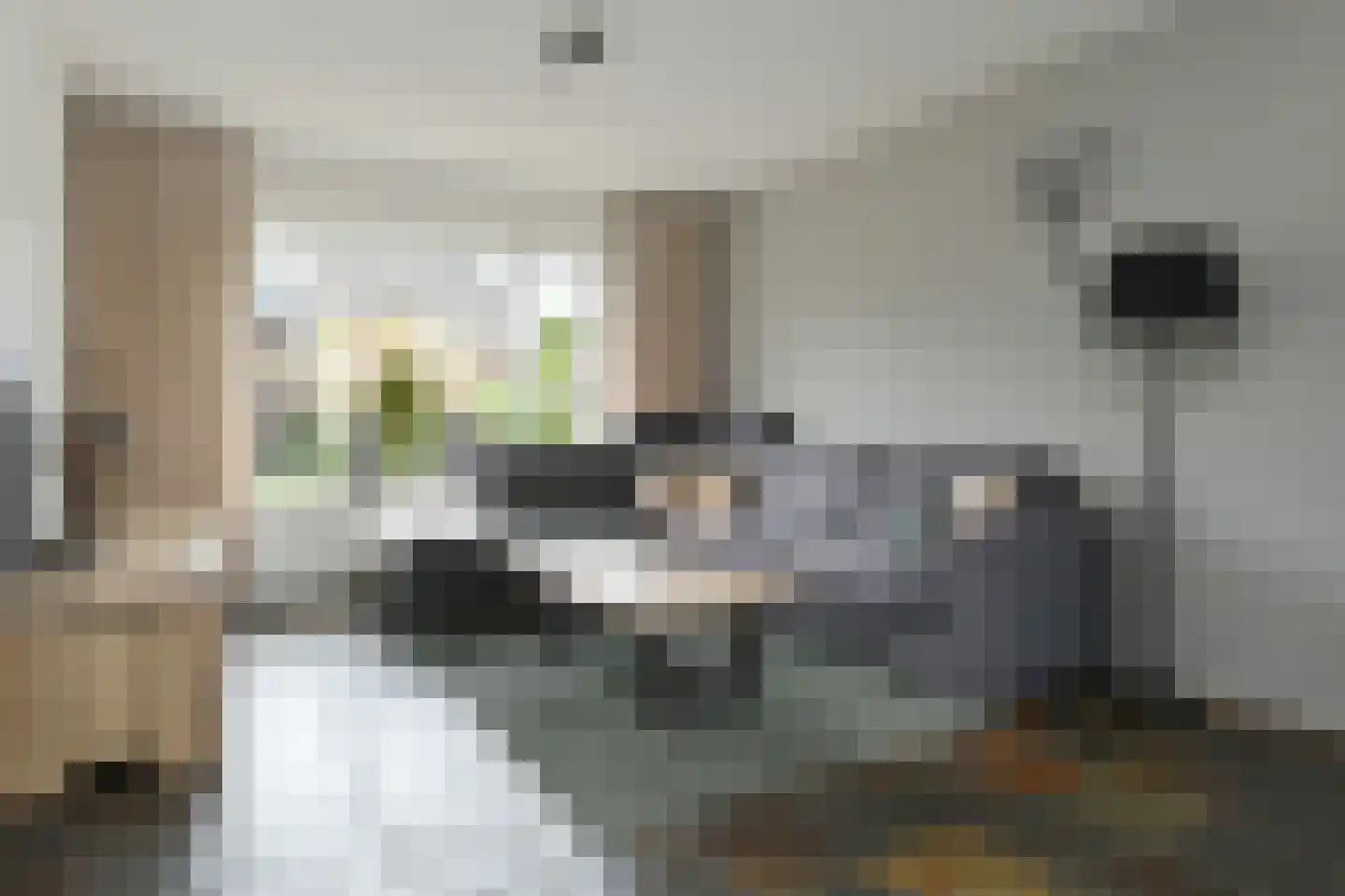 van Eyckstraat 31 Maasbree thumbnail 4