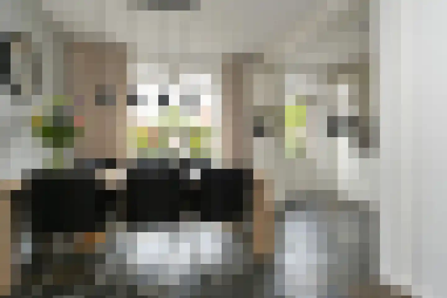 van Eyckstraat 31 Maasbree thumbnail 6
