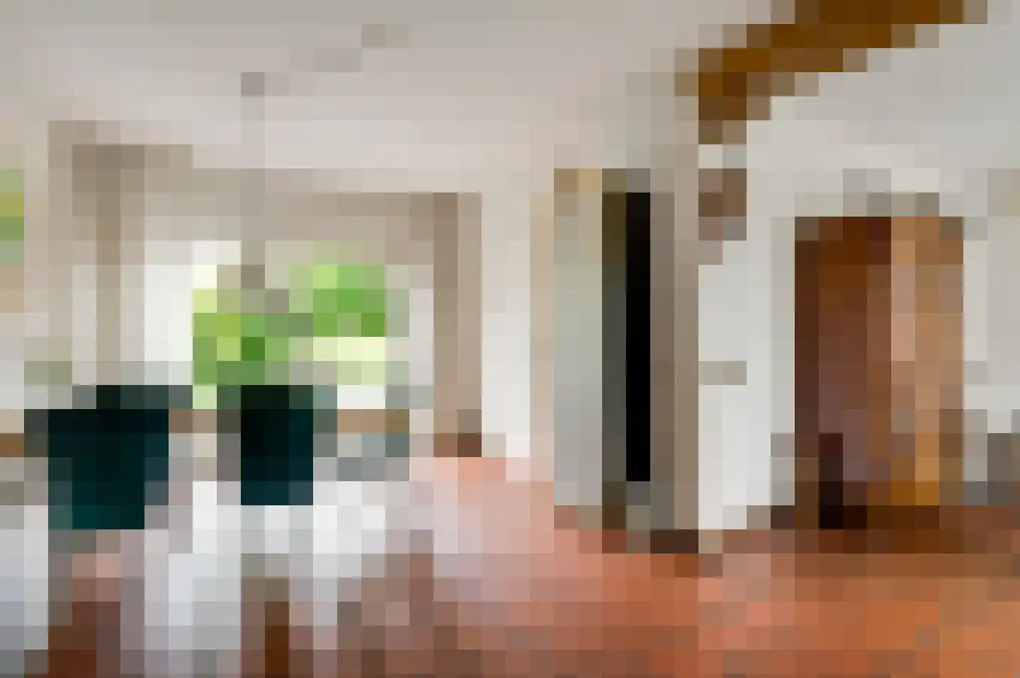 van Eyckstraat 36 Maasbree thumbnail 13