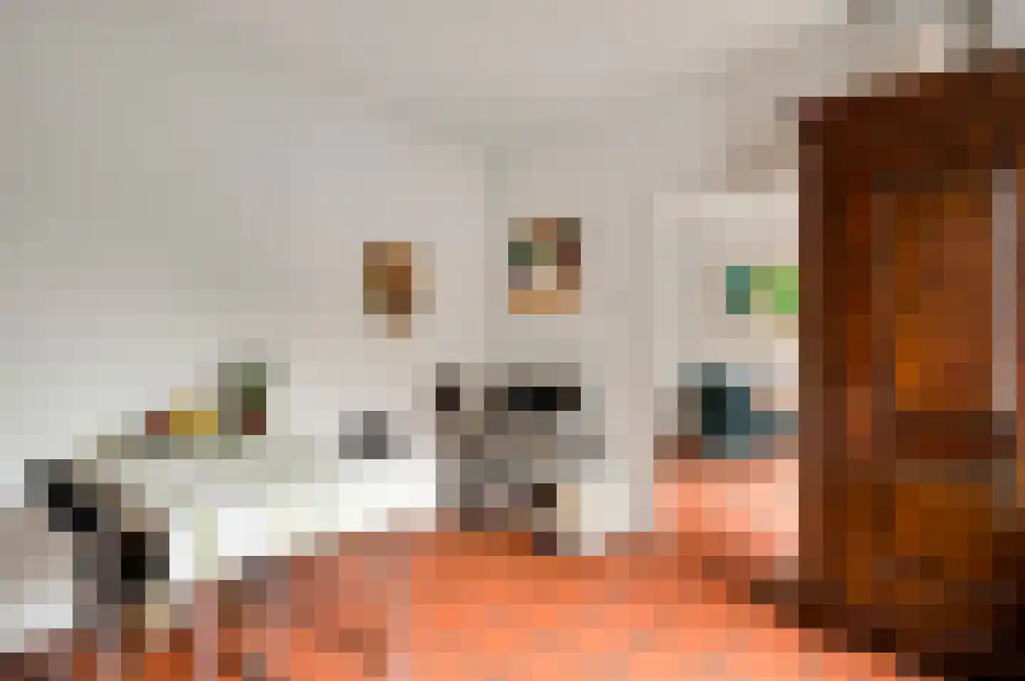 van Eyckstraat 36 Maasbree thumbnail 16