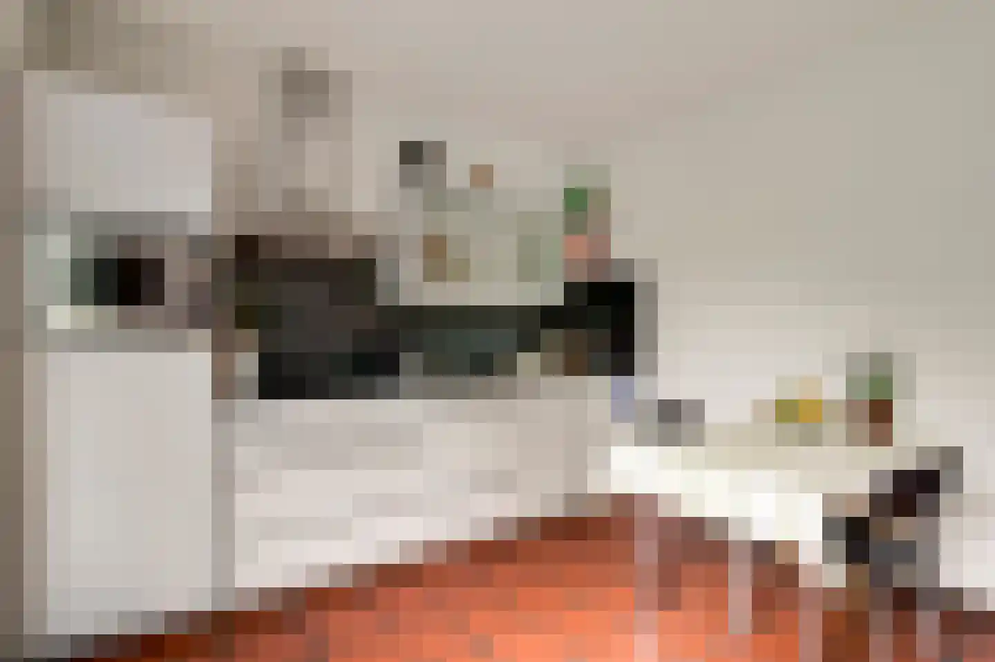 van Eyckstraat 36 Maasbree thumbnail 17