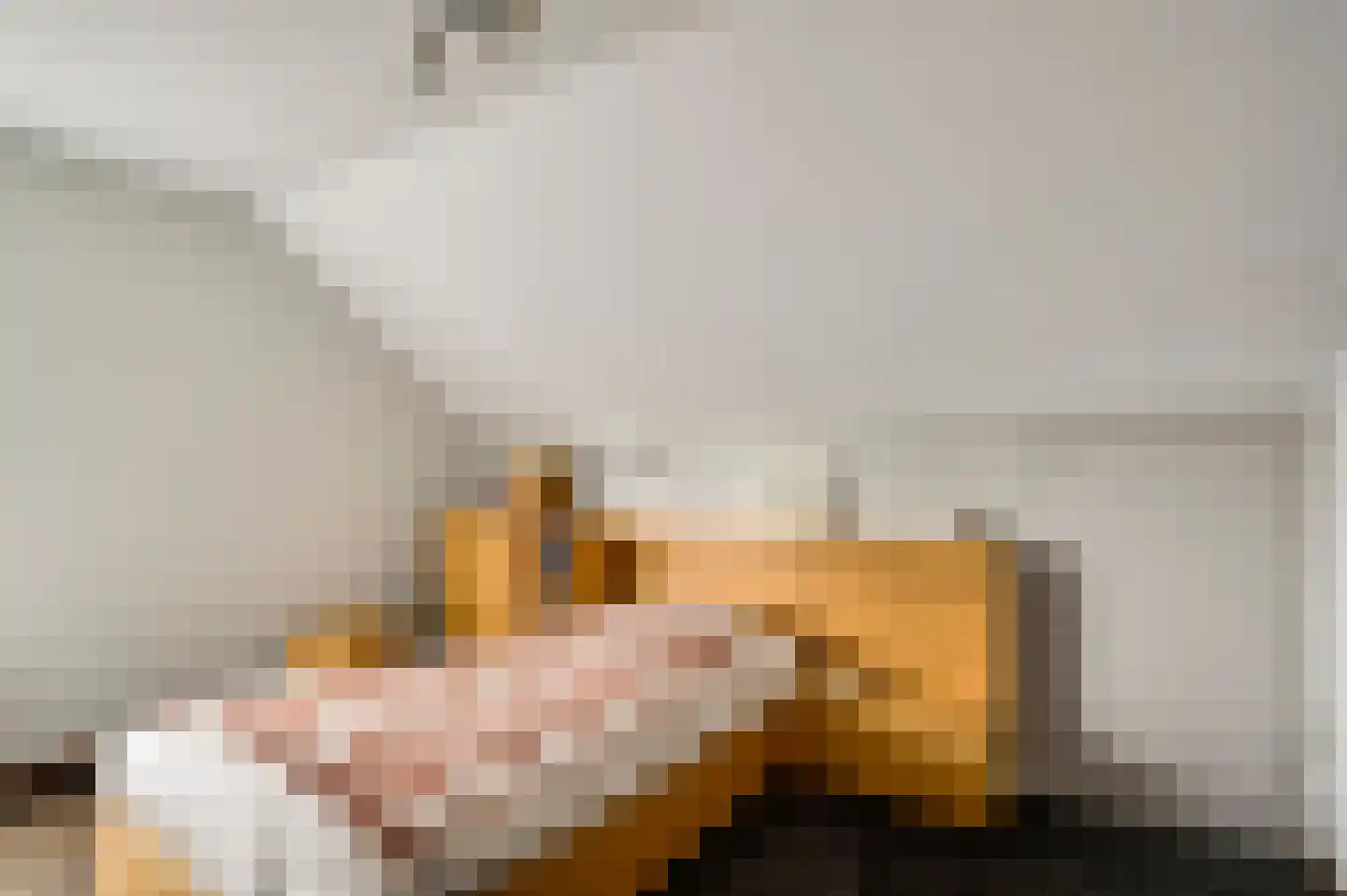 van Eyckstraat 36 Maasbree thumbnail 24