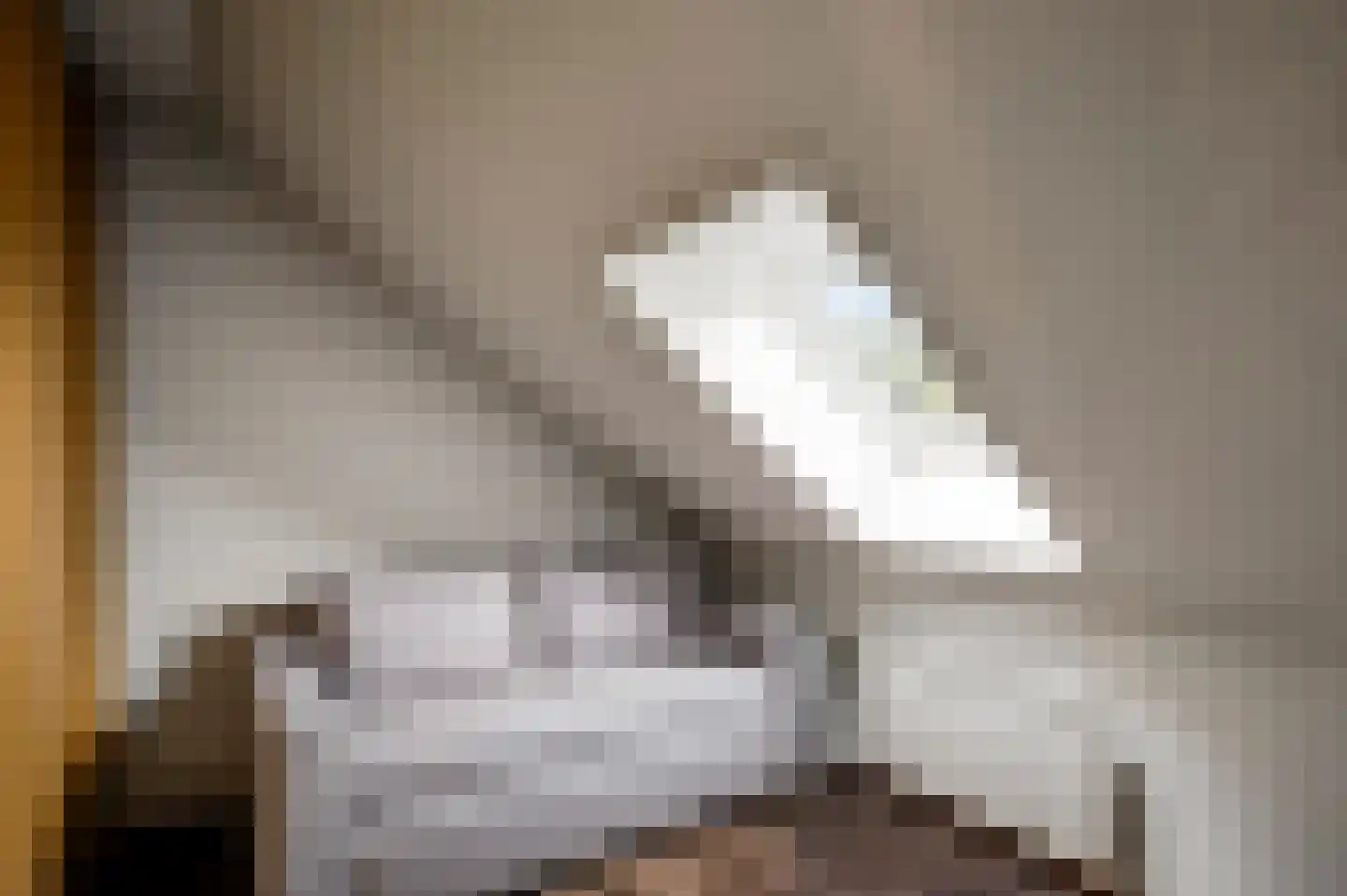 van Eyckstraat 36 Maasbree thumbnail 26