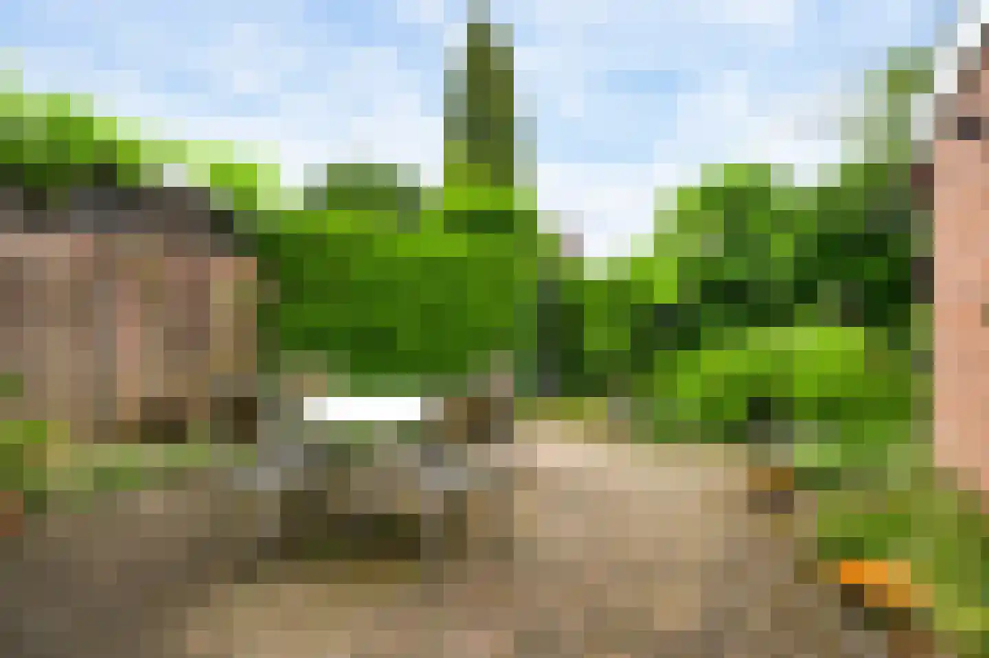 van Eyckstraat 36 Maasbree thumbnail 30