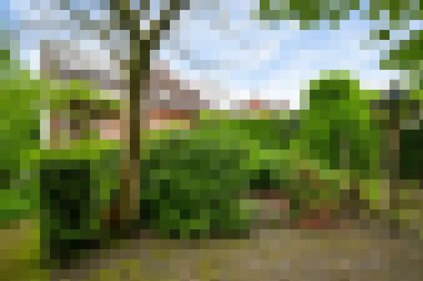 van Eyckstraat 36 Maasbree thumbnail 33