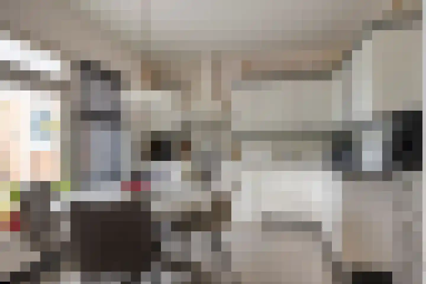 van Eyckstraat 40 Maasbree thumbnail 14