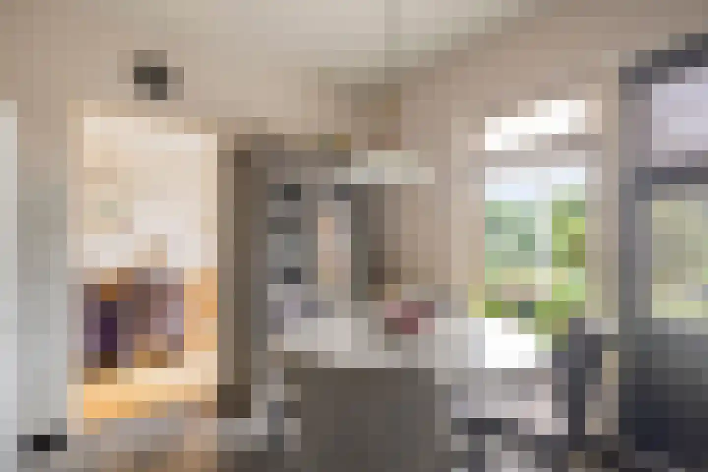 van Eyckstraat 40 Maasbree thumbnail 15