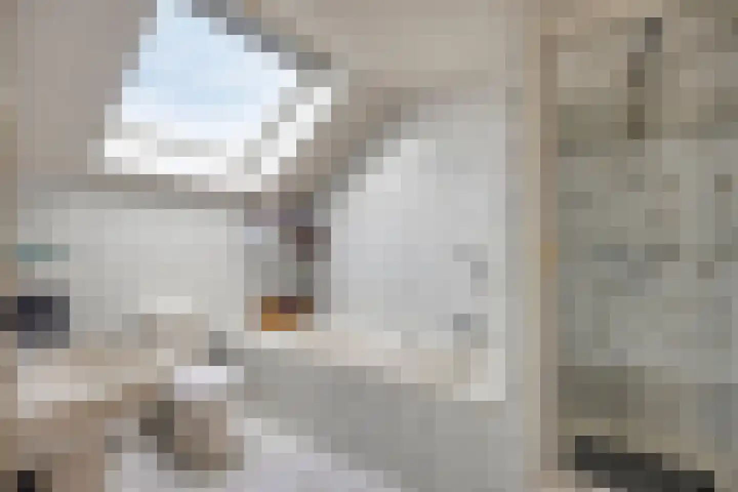 van Eyckstraat 40 Maasbree thumbnail 25