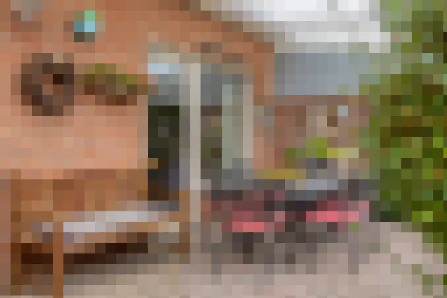 van Eyckstraat 40 Maasbree thumbnail 27