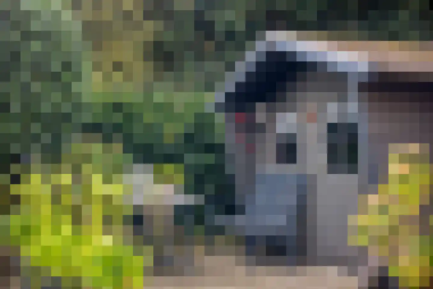 van Eyckstraat 40 Maasbree thumbnail 32