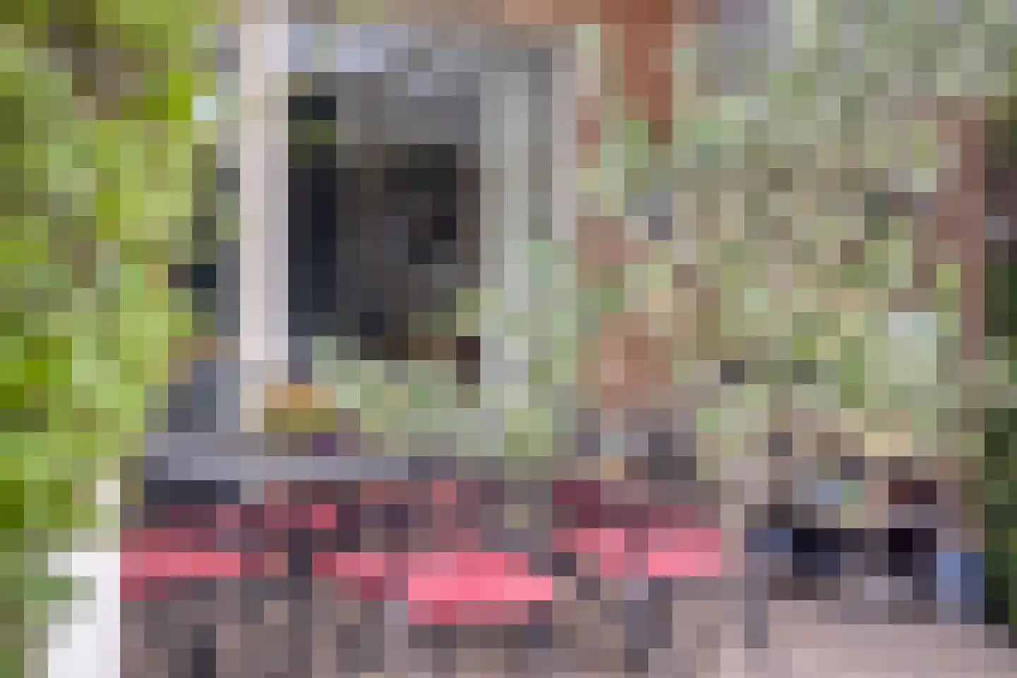 van Eyckstraat 40 Maasbree thumbnail 33