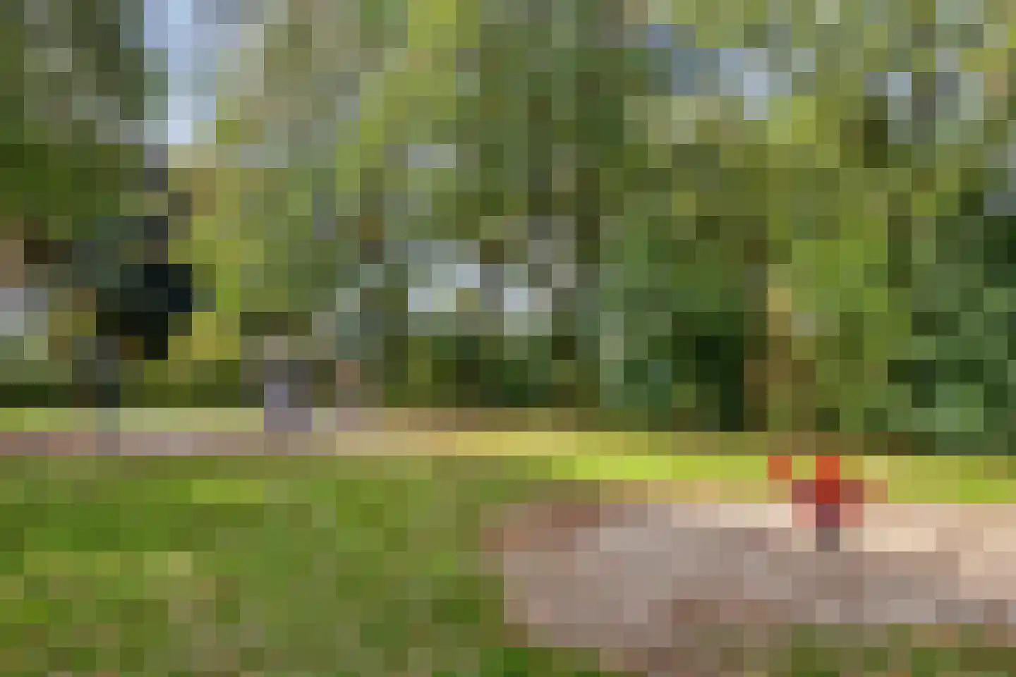 van Eyckstraat 40 Maasbree thumbnail 37