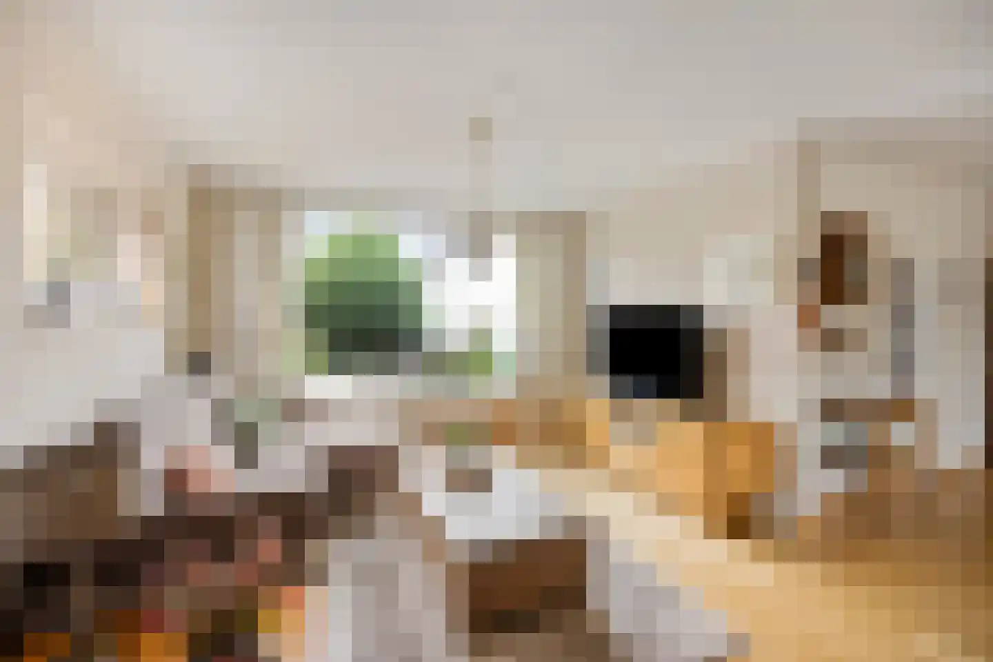 van Eyckstraat 40 Maasbree thumbnail 6